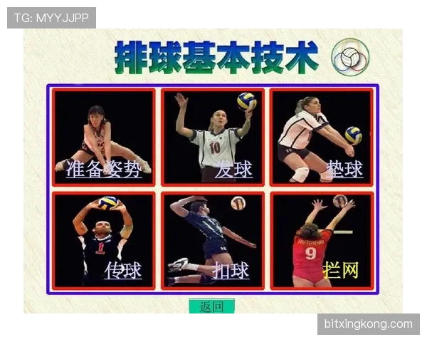 维蒂尼亚是否只会传安全球 传球选择与战术作用深度分析